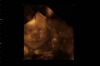 IMAGES_4